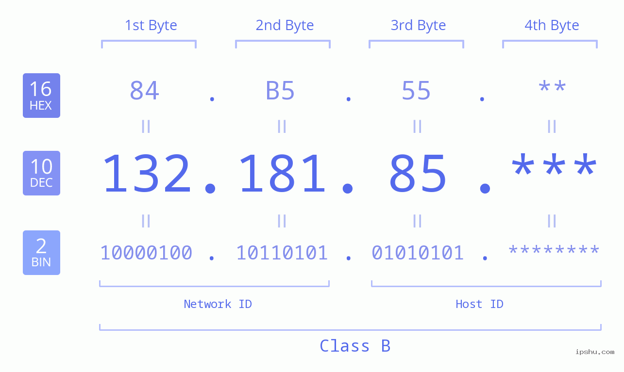IP Address: 132.181.85 Data Structure Chart BIN DEC HEX IPv4: 132.181.85 Network Class, Net ID, Host ID