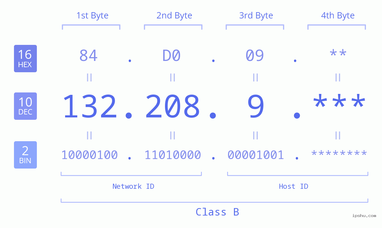 IP Address: 132.208.9 Data Structure Chart BIN DEC HEX IPv4: 132.208.9 Network Class, Net ID, Host ID