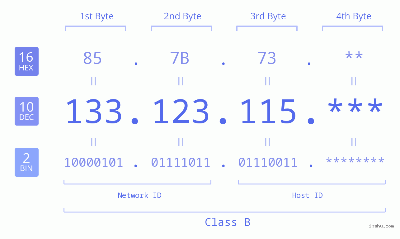 IP Address: 133.123.115 Data Structure Chart BIN DEC HEX IPv4: 133.123.115 Network Class, Net ID, Host ID