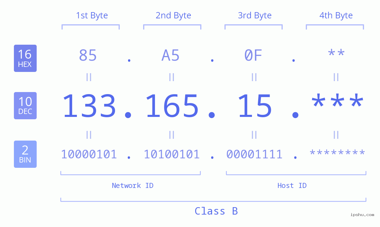 IP Address: 133.165.15 Data Structure Chart BIN DEC HEX IPv4: 133.165.15 Network Class, Net ID, Host ID