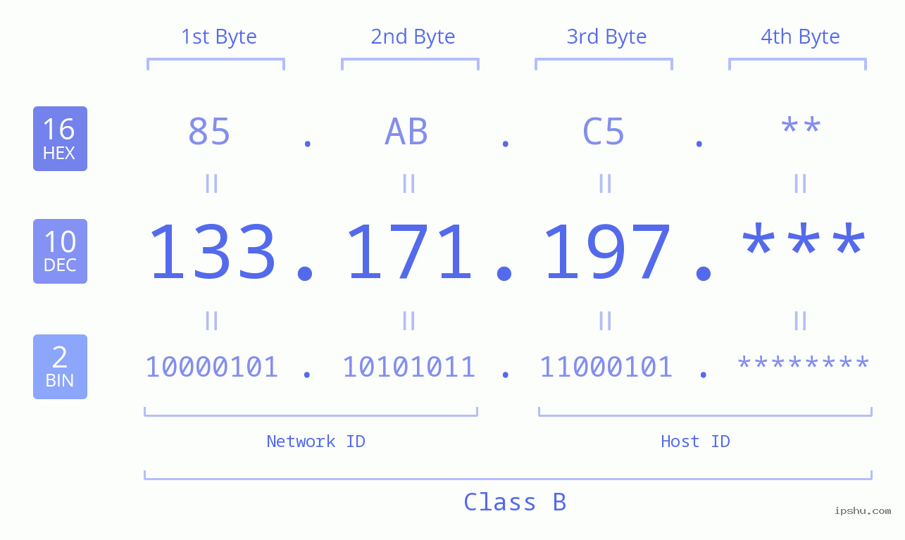 IP Address: 133.171.197 Data Structure Chart BIN DEC HEX IPv4: 133.171.197 Network Class, Net ID, Host ID