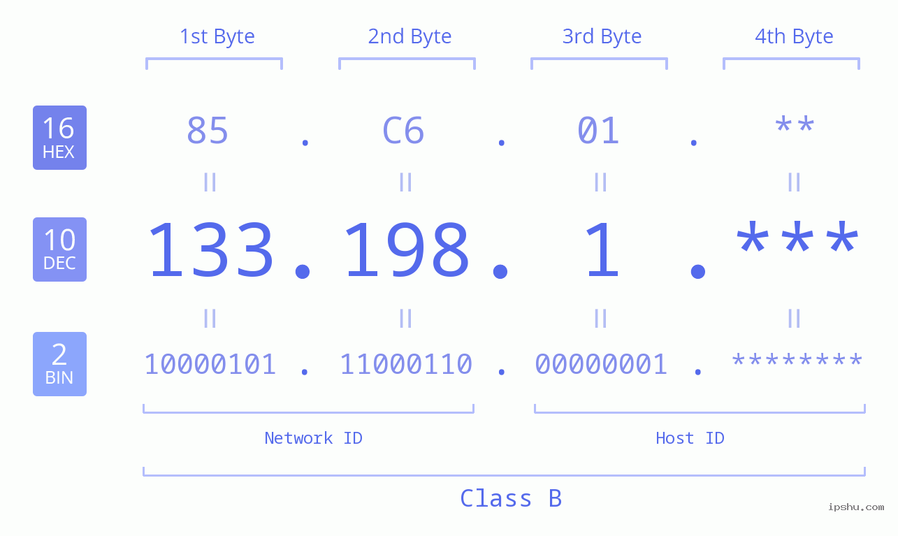 IP Address: 133.198.1 Data Structure Chart BIN DEC HEX IPv4: 133.198.1 Network Class, Net ID, Host ID