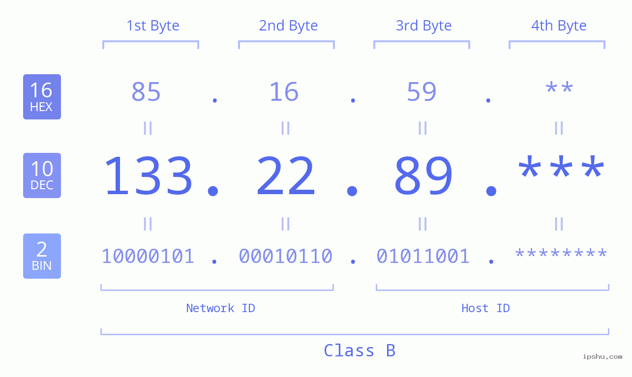 IP Address: 133.22.89 Data Structure Chart BIN DEC HEX IPv4: 133.22.89 Network Class, Net ID, Host ID