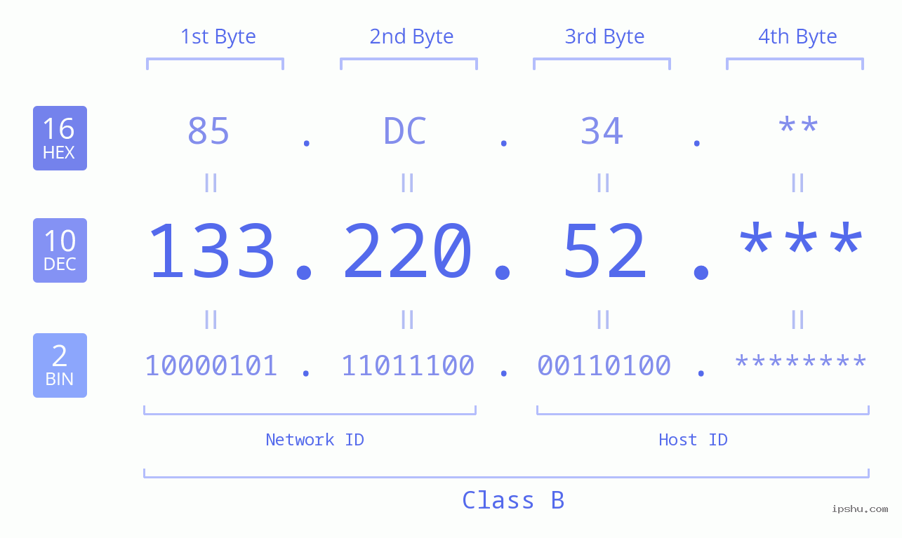 IP Address: 133.220.52 Data Structure Chart BIN DEC HEX IPv4: 133.220.52 Network Class, Net ID, Host ID