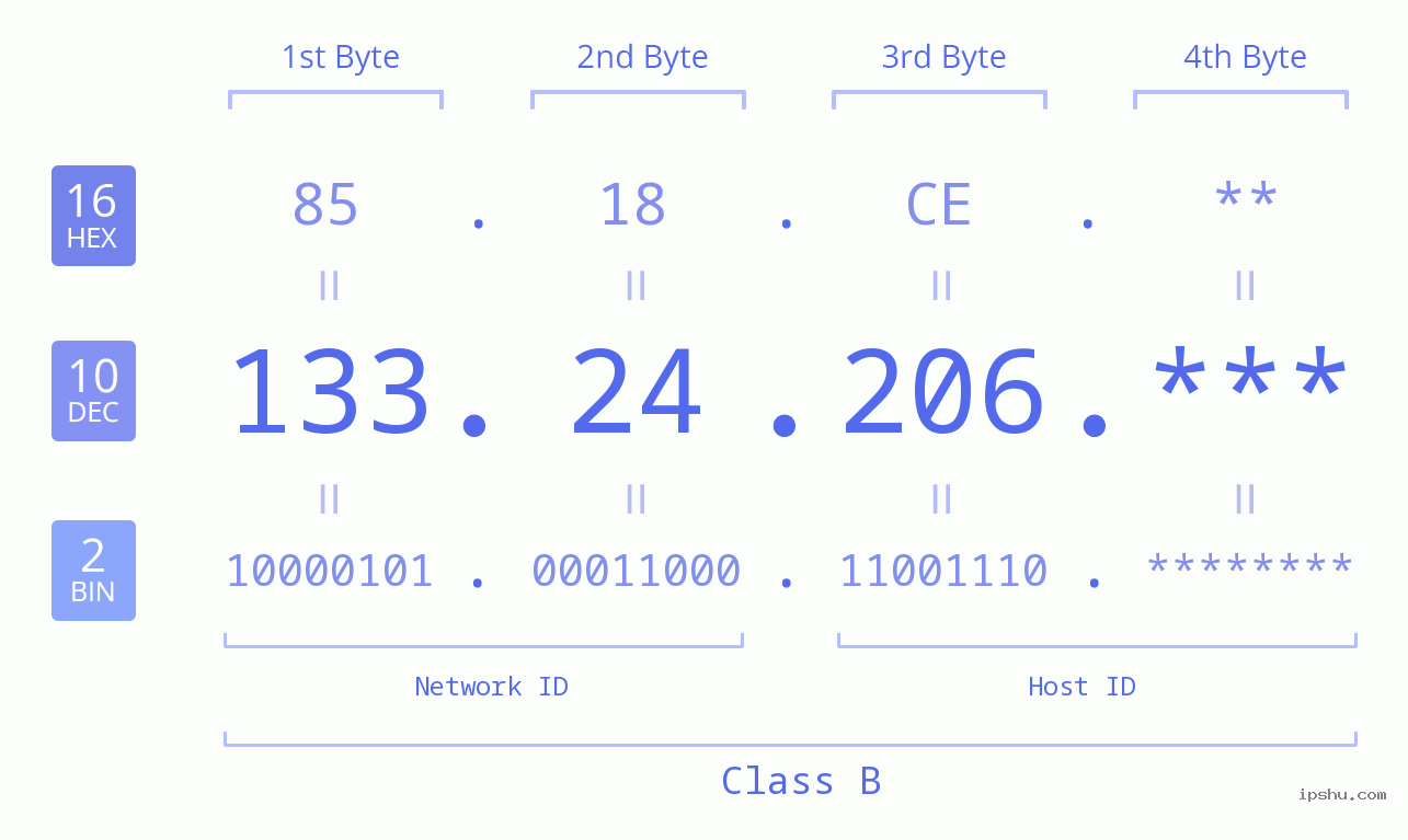 IP Address: 133.24.206 Data Structure Chart BIN DEC HEX IPv4: 133.24.206 Network Class, Net ID, Host ID