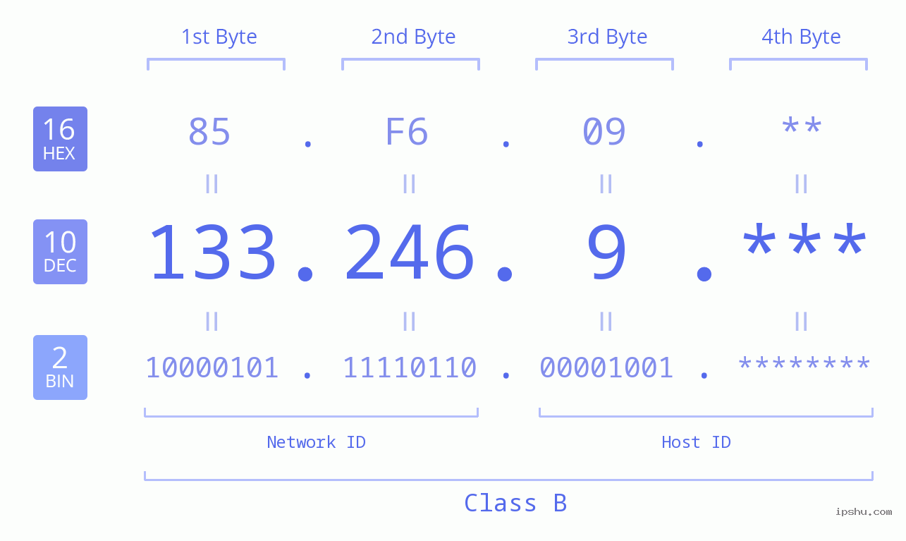 IP Address: 133.246.9 Data Structure Chart BIN DEC HEX IPv4: 133.246.9 Network Class, Net ID, Host ID