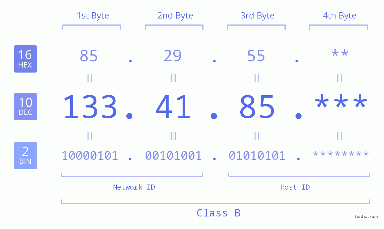 IP Address: 133.41.85 Data Structure Chart BIN DEC HEX IPv4: 133.41.85 Network Class, Net ID, Host ID