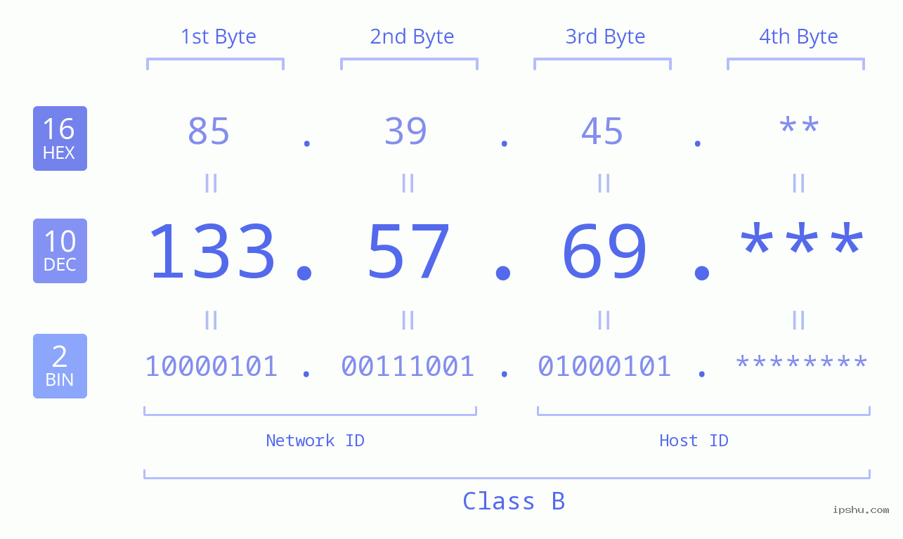 IP Address: 133.57.69 Data Structure Chart BIN DEC HEX IPv4: 133.57.69 Network Class, Net ID, Host ID