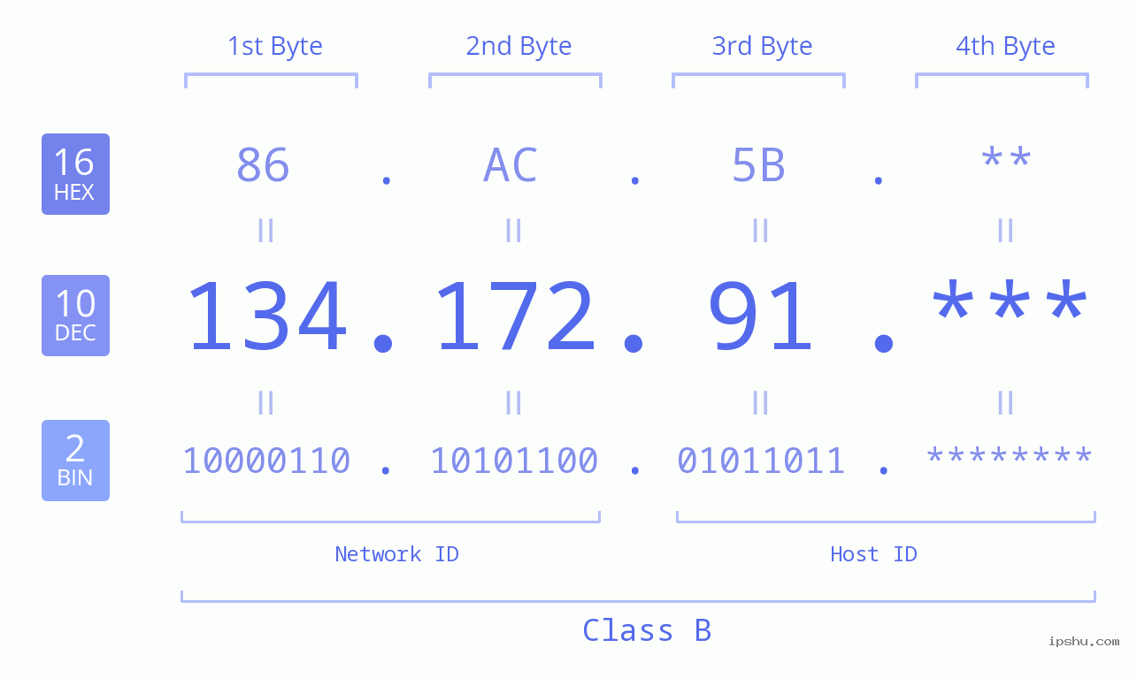 IP Address: 134.172.91 Data Structure Chart BIN DEC HEX IPv4: 134.172.91 Network Class, Net ID, Host ID