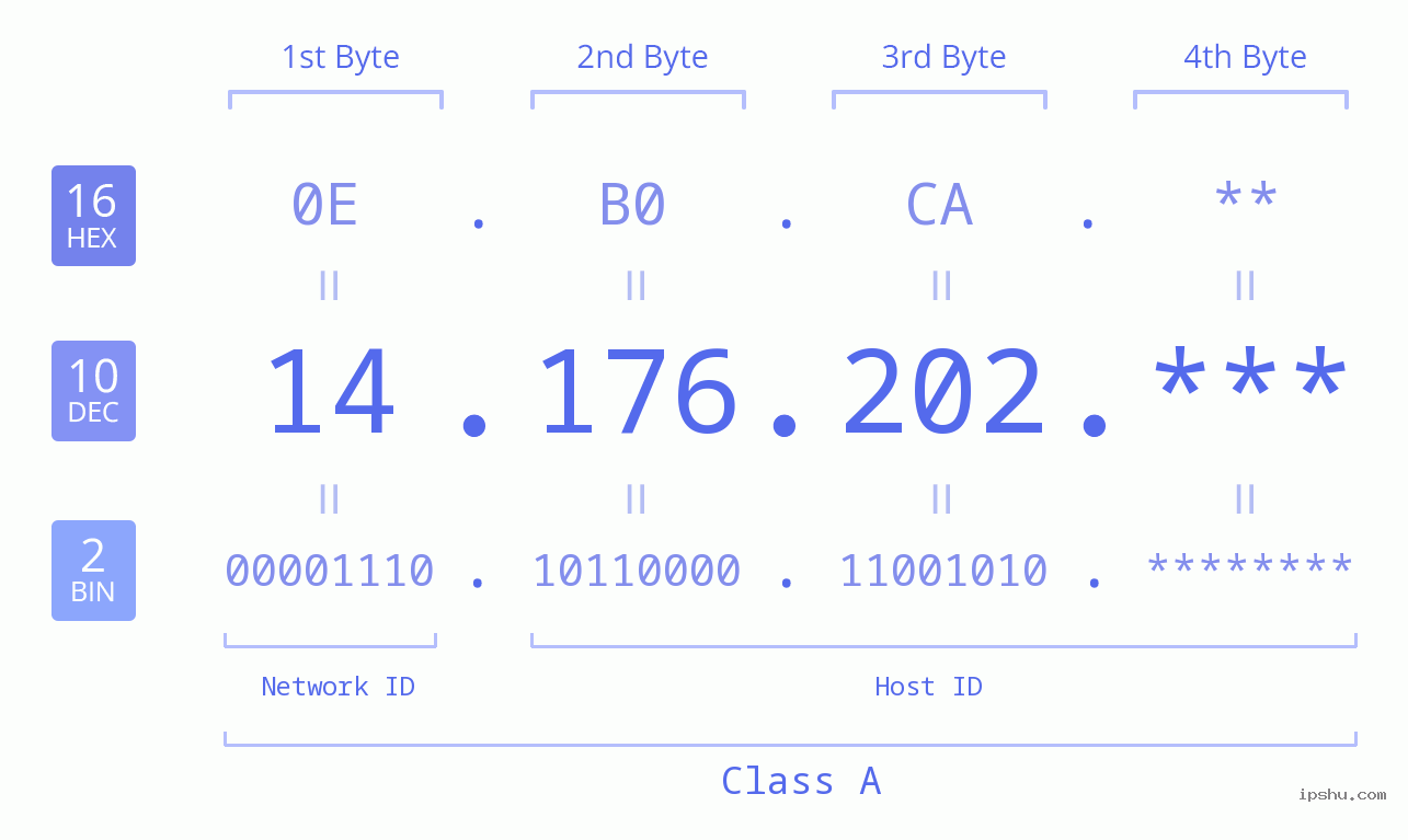 IP Address: 14.176.202 Data Structure Chart BIN DEC HEX IPv4: 14.176.202 Network Class, Net ID, Host ID