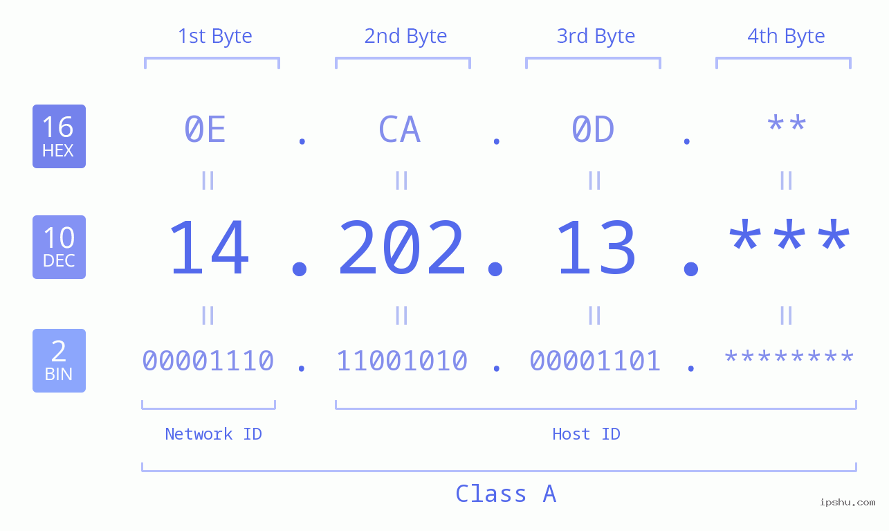 IP Address: 14.202.13 Data Structure Chart BIN DEC HEX IPv4: 14.202.13 Network Class, Net ID, Host ID