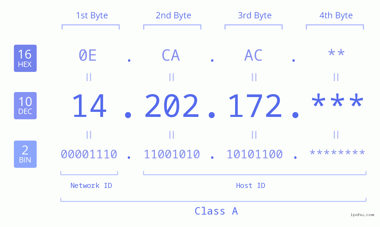 IP Address: 14.202.172 Data Structure Chart BIN DEC HEX IPv4: 14.202.172 Network Class, Net ID, Host ID