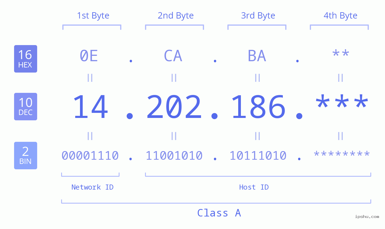 IP Address: 14.202.186 Data Structure Chart BIN DEC HEX IPv4: 14.202.186 Network Class, Net ID, Host ID