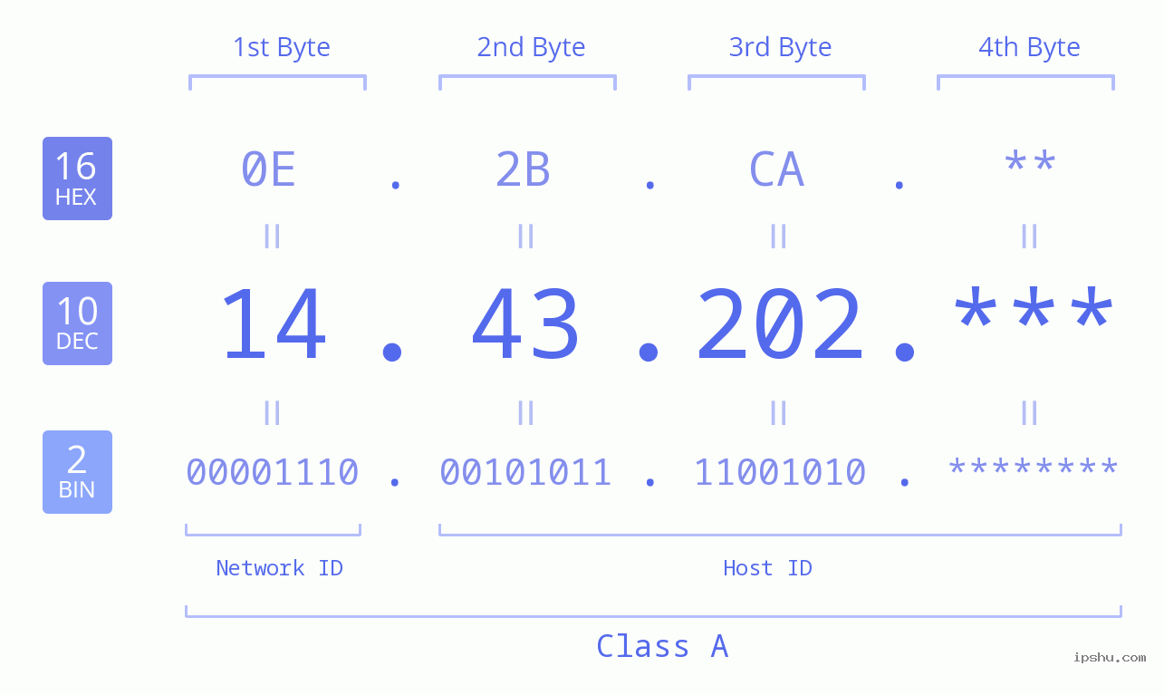 IP Address: 14.43.202 Data Structure Chart BIN DEC HEX IPv4: 14.43.202 Network Class, Net ID, Host ID