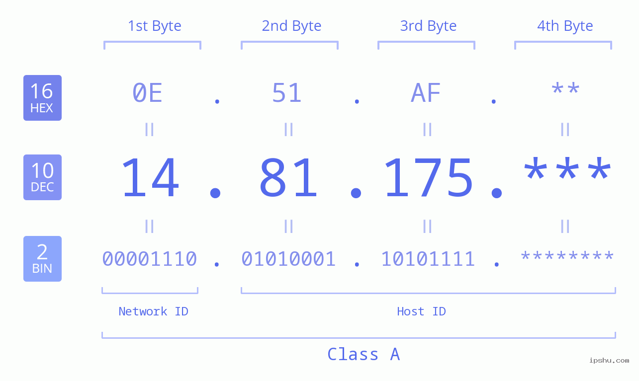 IP Address: 14.81.175 Data Structure Chart BIN DEC HEX IPv4: 14.81.175 Network Class, Net ID, Host ID