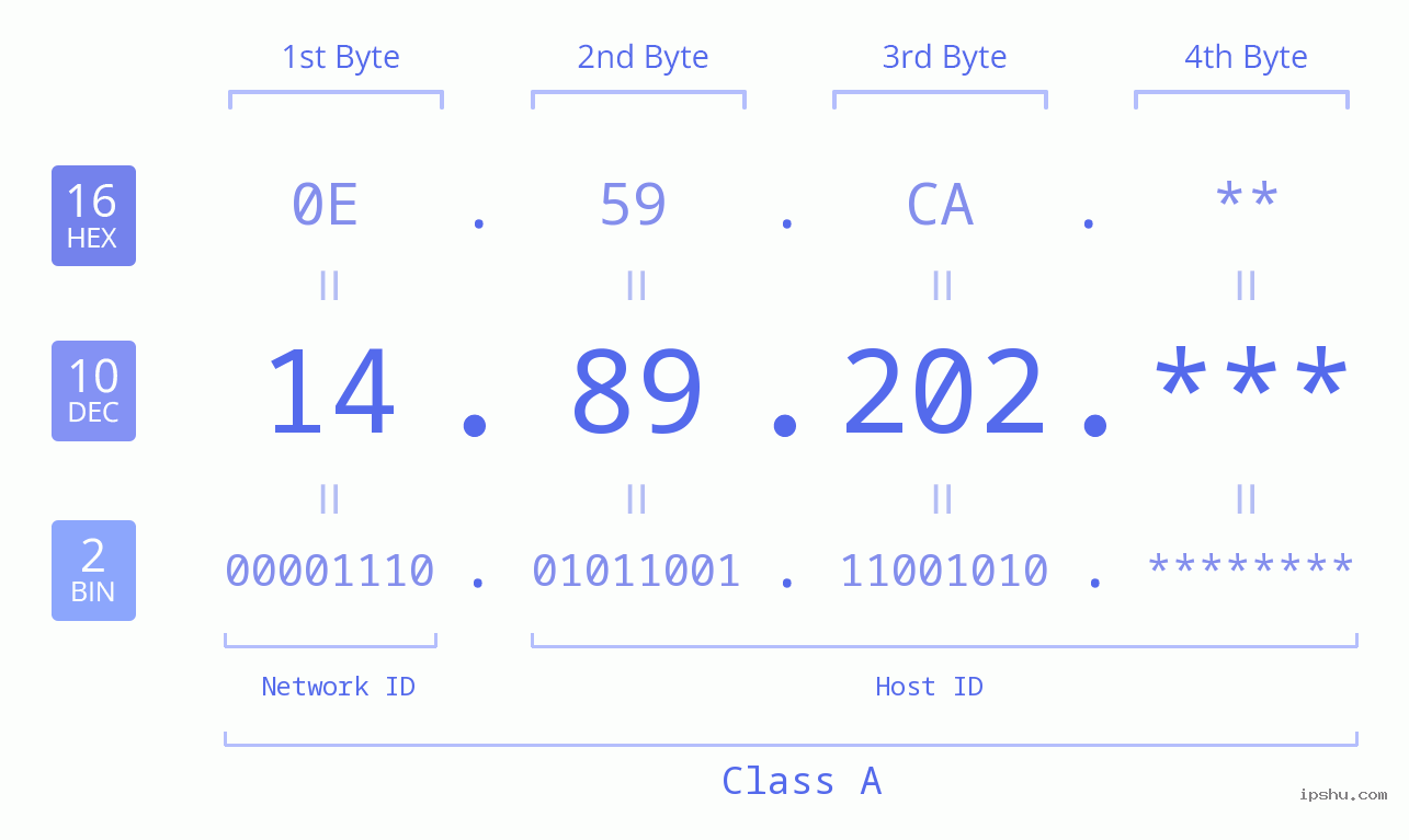 IP Address: 14.89.202 Data Structure Chart BIN DEC HEX IPv4: 14.89.202 Network Class, Net ID, Host ID