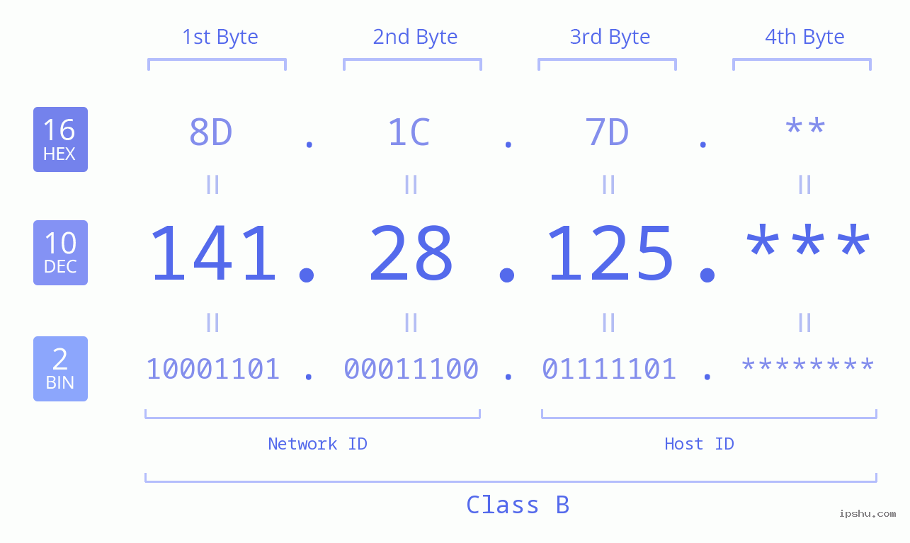 IP Address: 141.28.125 Data Structure Chart BIN DEC HEX IPv4: 141.28.125 Network Class, Net ID, Host ID