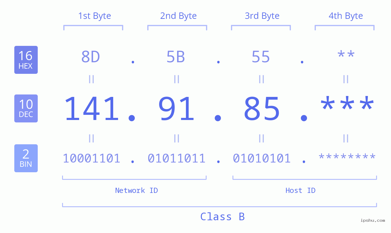 IP Address: 141.91.85 Data Structure Chart BIN DEC HEX IPv4: 141.91.85 Network Class, Net ID, Host ID