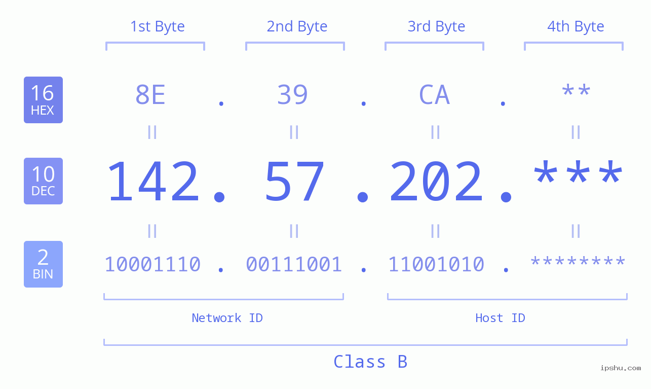 IP Address: 142.57.202 Data Structure Chart BIN DEC HEX IPv4: 142.57.202 Network Class, Net ID, Host ID