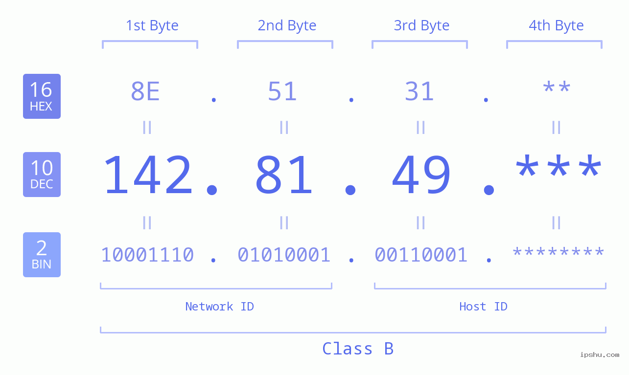 IP Address: 142.81.49 Data Structure Chart BIN DEC HEX IPv4: 142.81.49 Network Class, Net ID, Host ID