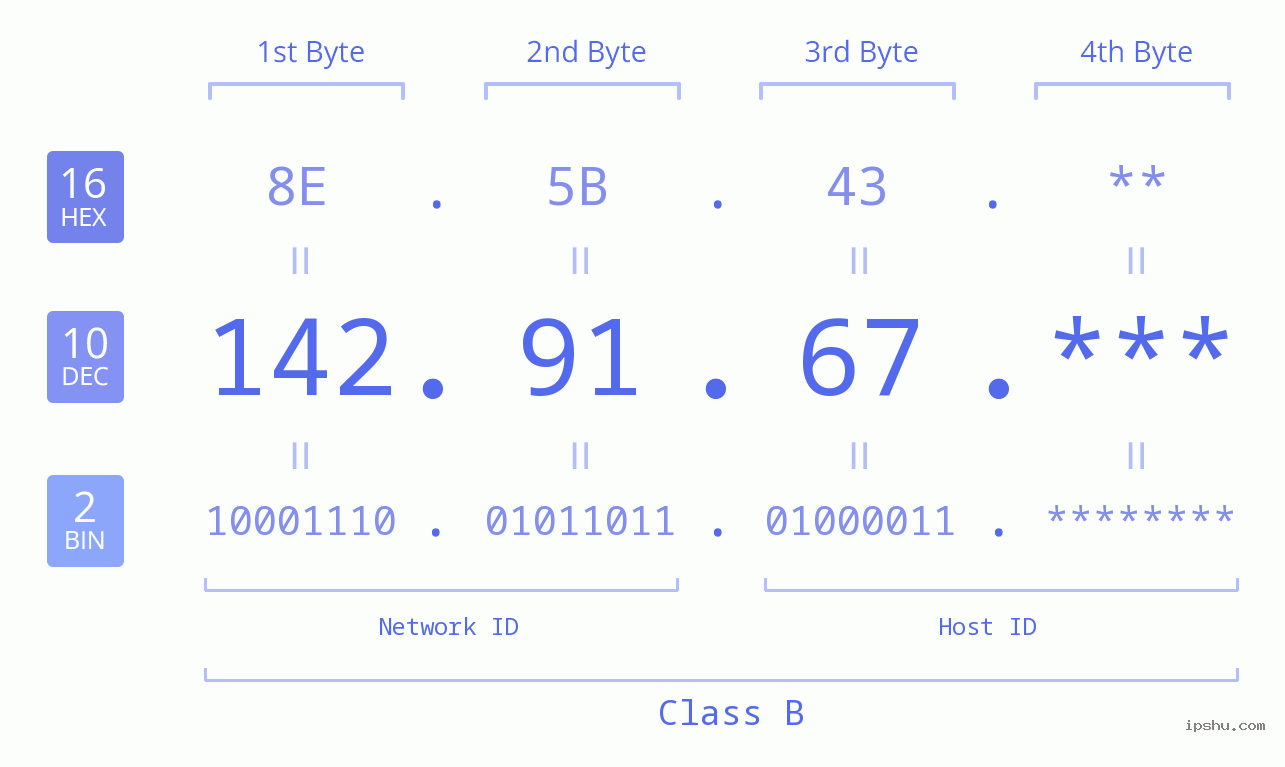IP Address: 142.91.67 Data Structure Chart BIN DEC HEX IPv4: 142.91.67 Network Class, Net ID, Host ID