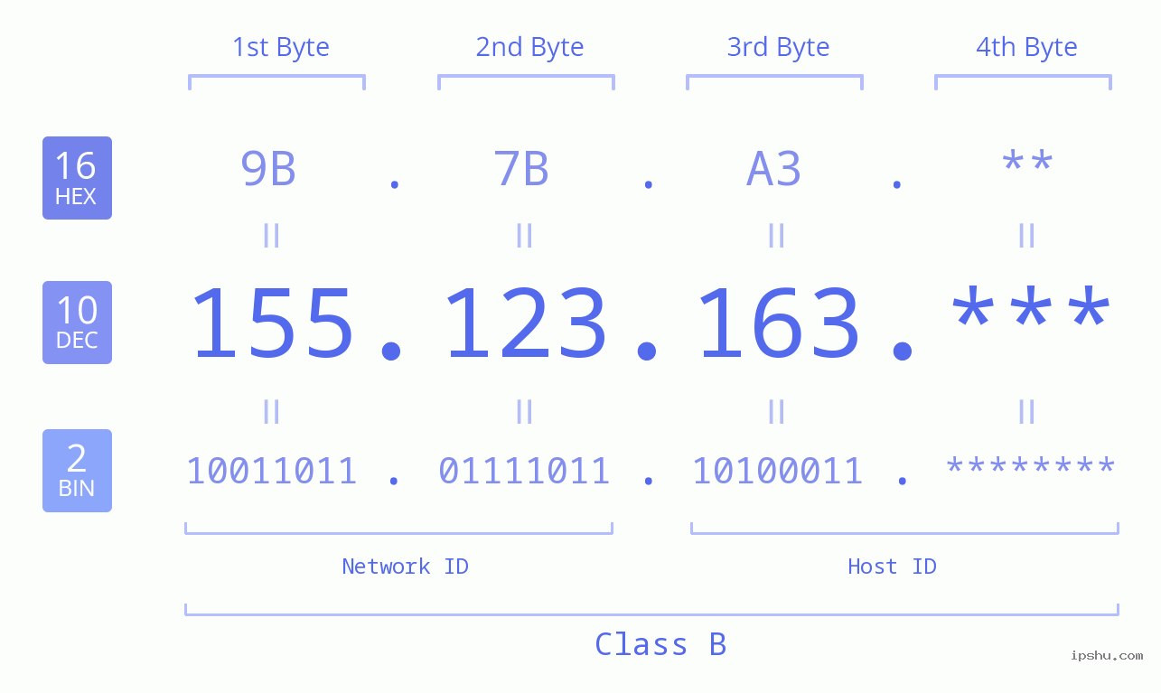 IP Address: 155.123.163 Data Structure Chart BIN DEC HEX IPv4: 155.123.163 Network Class, Net ID, Host ID