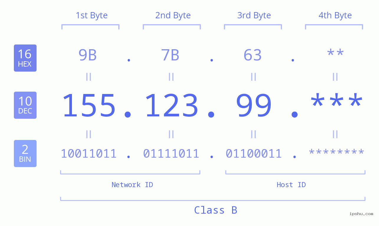 IP Address: 155.123.99 Data Structure Chart BIN DEC HEX IPv4: 155.123.99 Network Class, Net ID, Host ID