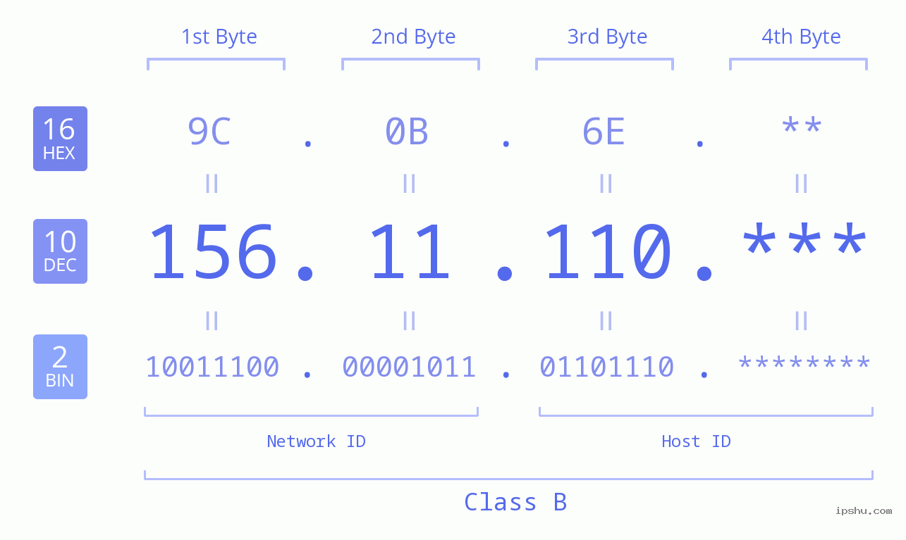 IP Address: 156.11.110 Data Structure Chart BIN DEC HEX IPv4: 156.11.110 Network Class, Net ID, Host ID