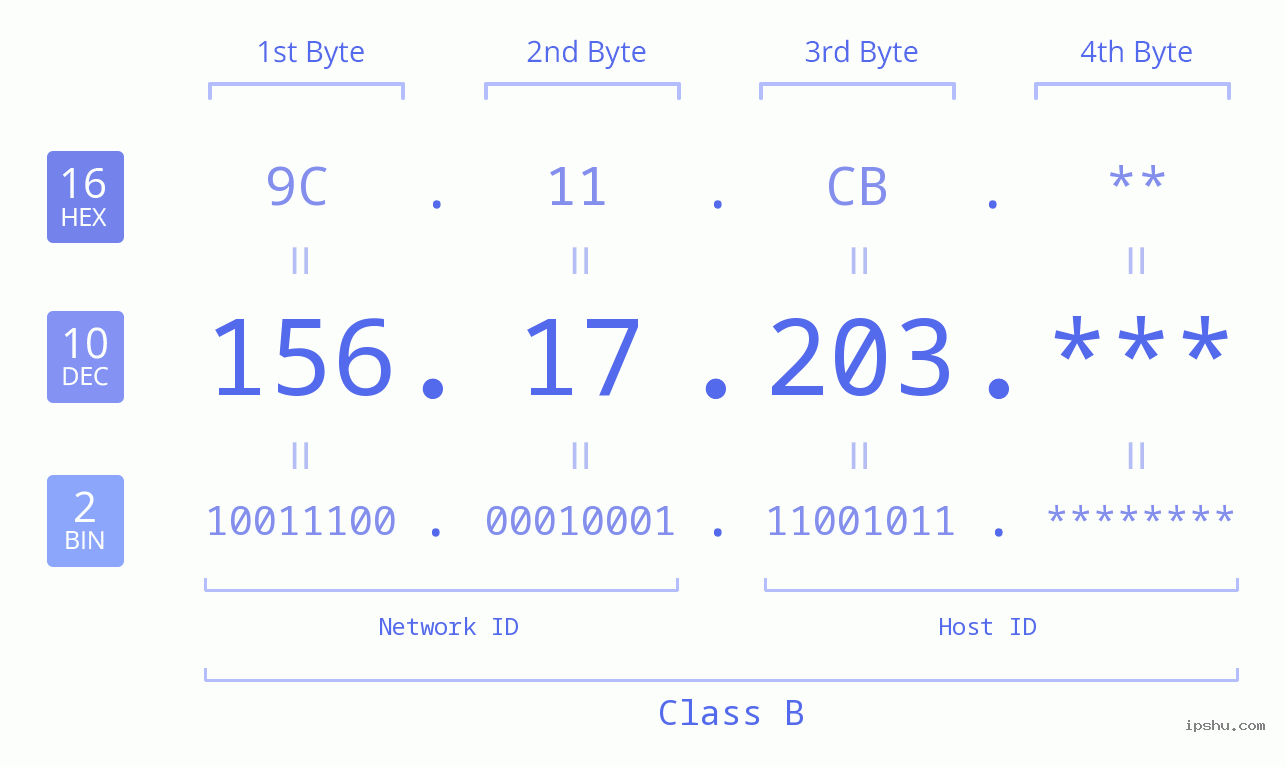 IP Address: 156.17.203 Data Structure Chart BIN DEC HEX IPv4: 156.17.203 Network Class, Net ID, Host ID