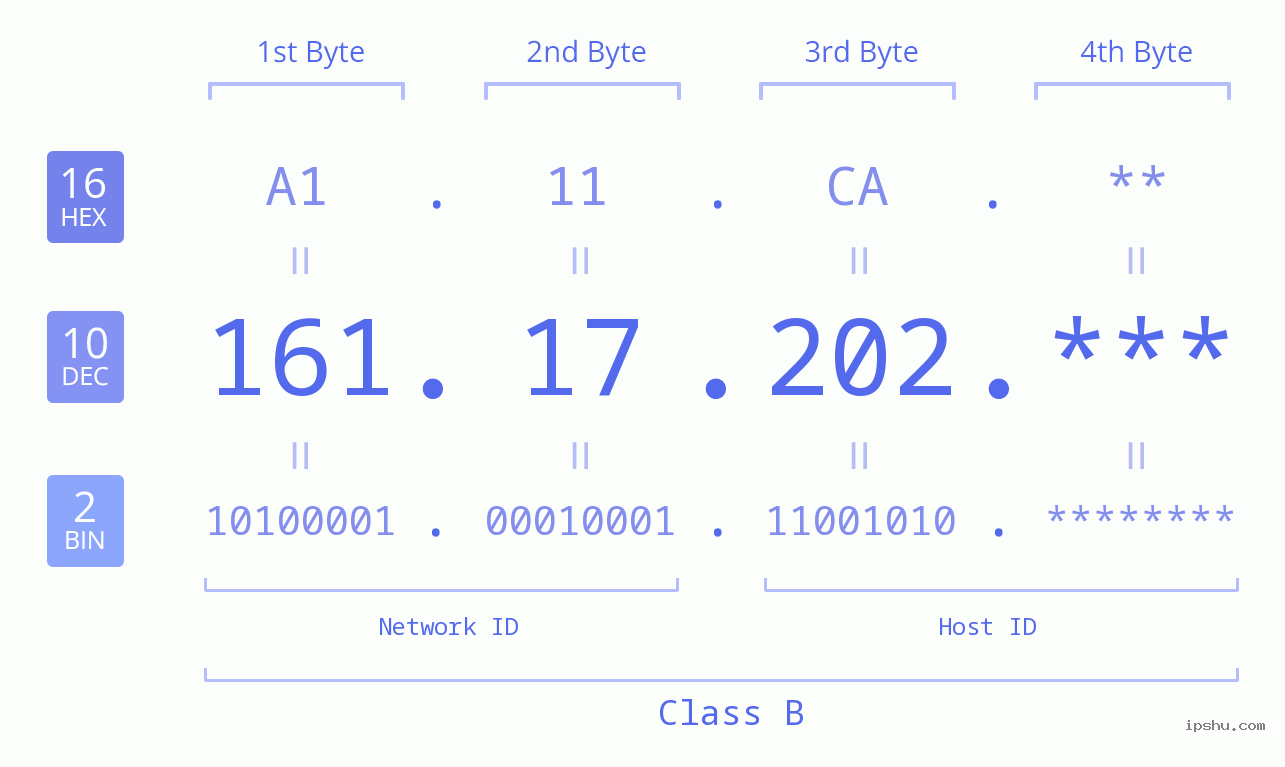 IP Address: 161.17.202 Data Structure Chart BIN DEC HEX IPv4: 161.17.202 Network Class, Net ID, Host ID