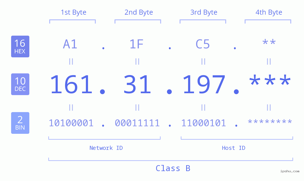 IP Address: 161.31.197 Data Structure Chart BIN DEC HEX IPv4: 161.31.197 Network Class, Net ID, Host ID