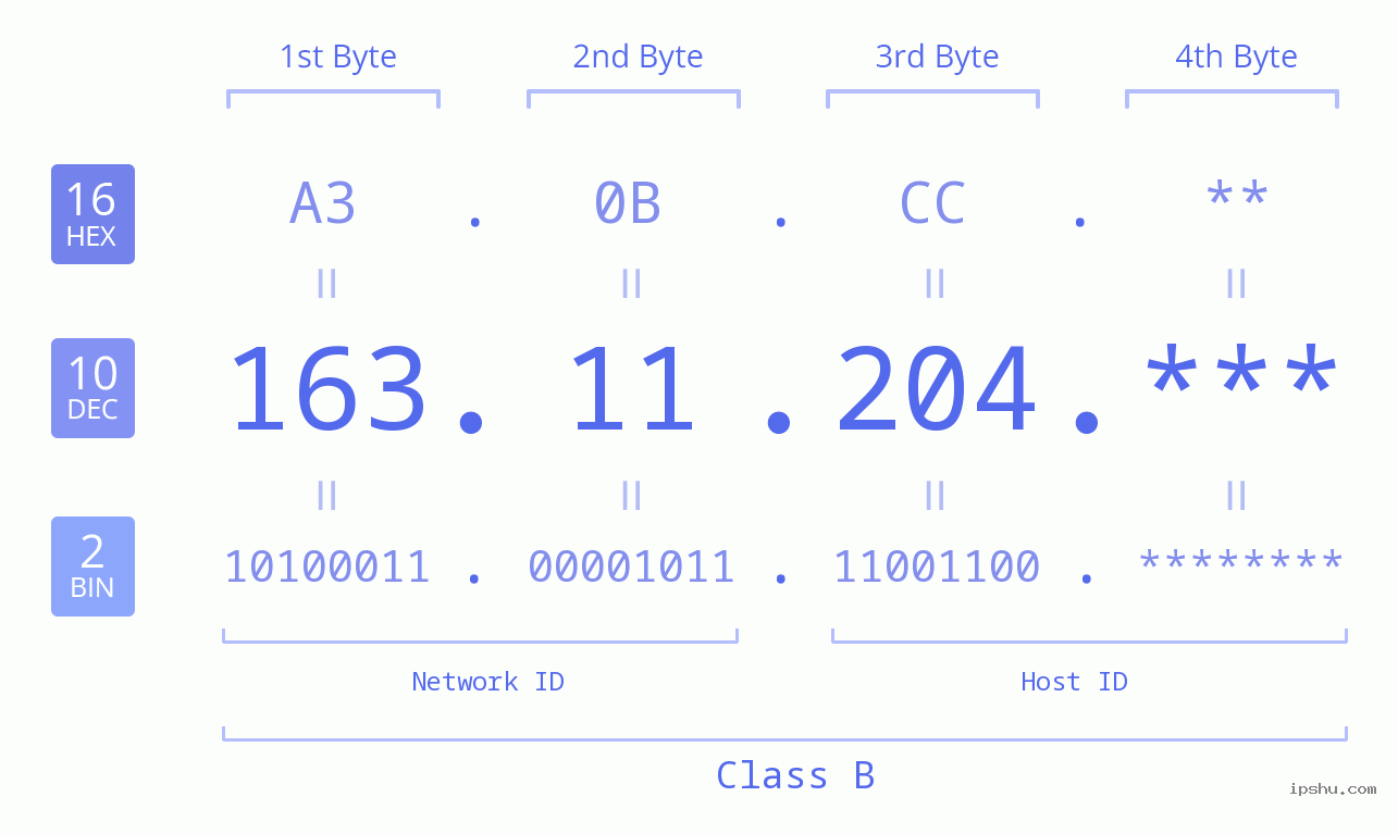 IP Address: 163.11.204 Data Structure Chart BIN DEC HEX IPv4: 163.11.204 Network Class, Net ID, Host ID