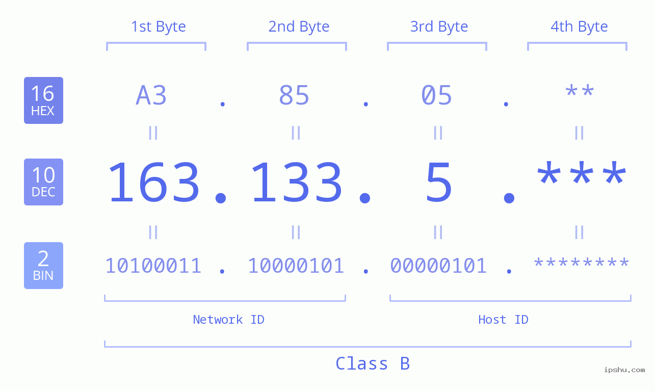 IP Address: 163.133.5 Data Structure Chart BIN DEC HEX IPv4: 163.133.5 Network Class, Net ID, Host ID