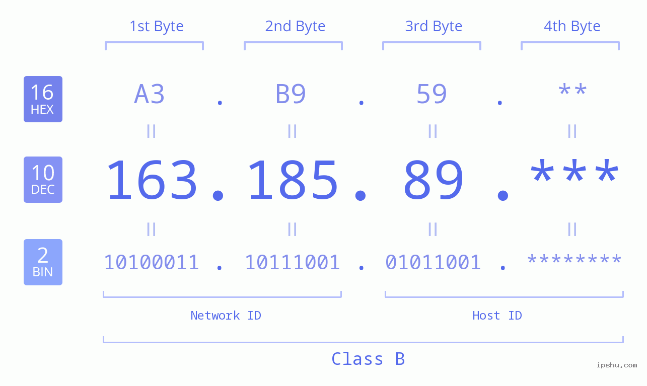IP Address: 163.185.89 Data Structure Chart BIN DEC HEX IPv4: 163.185.89 Network Class, Net ID, Host ID