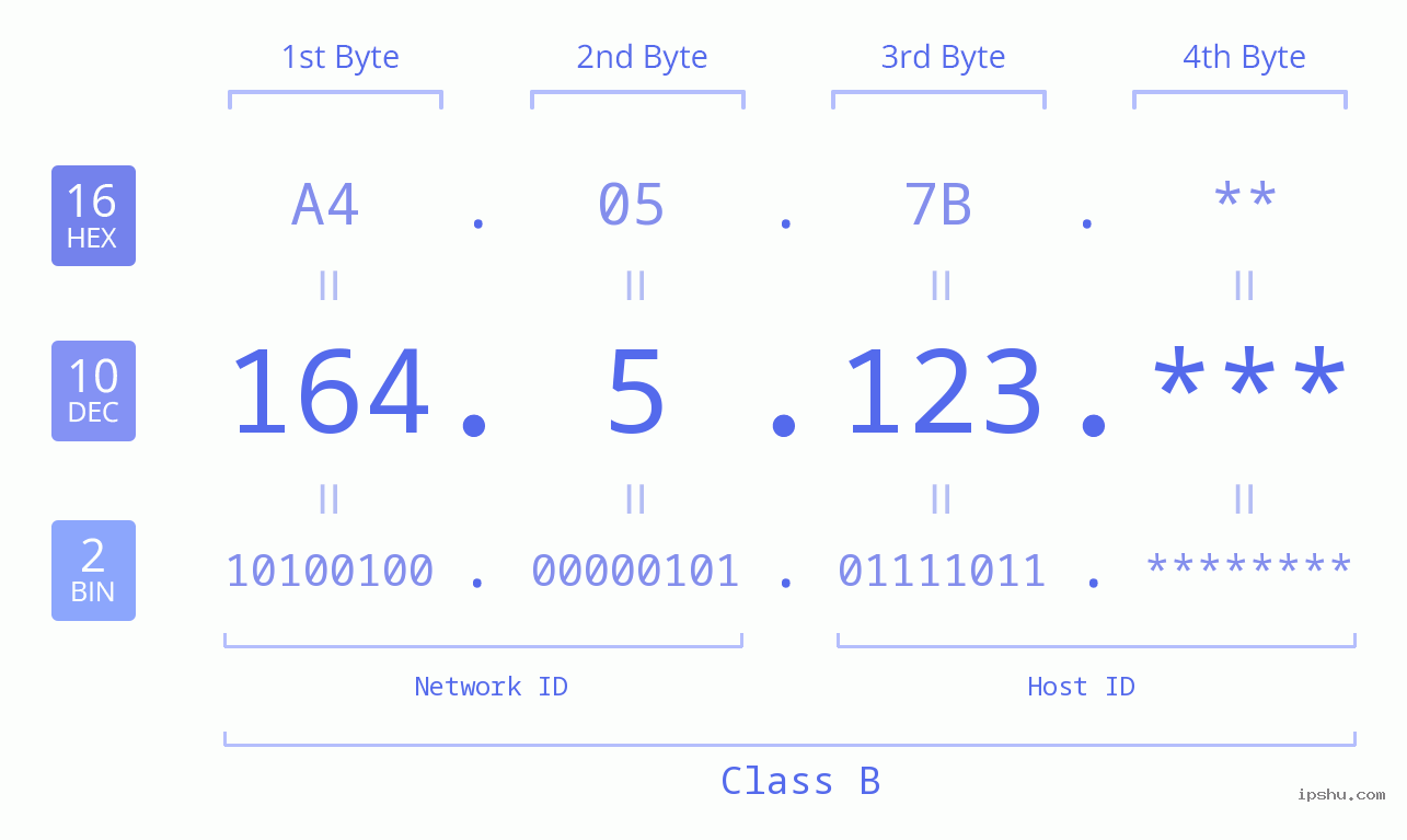 IP Address: 164.5.123 Data Structure Chart BIN DEC HEX IPv4: 164.5.123 Network Class, Net ID, Host ID