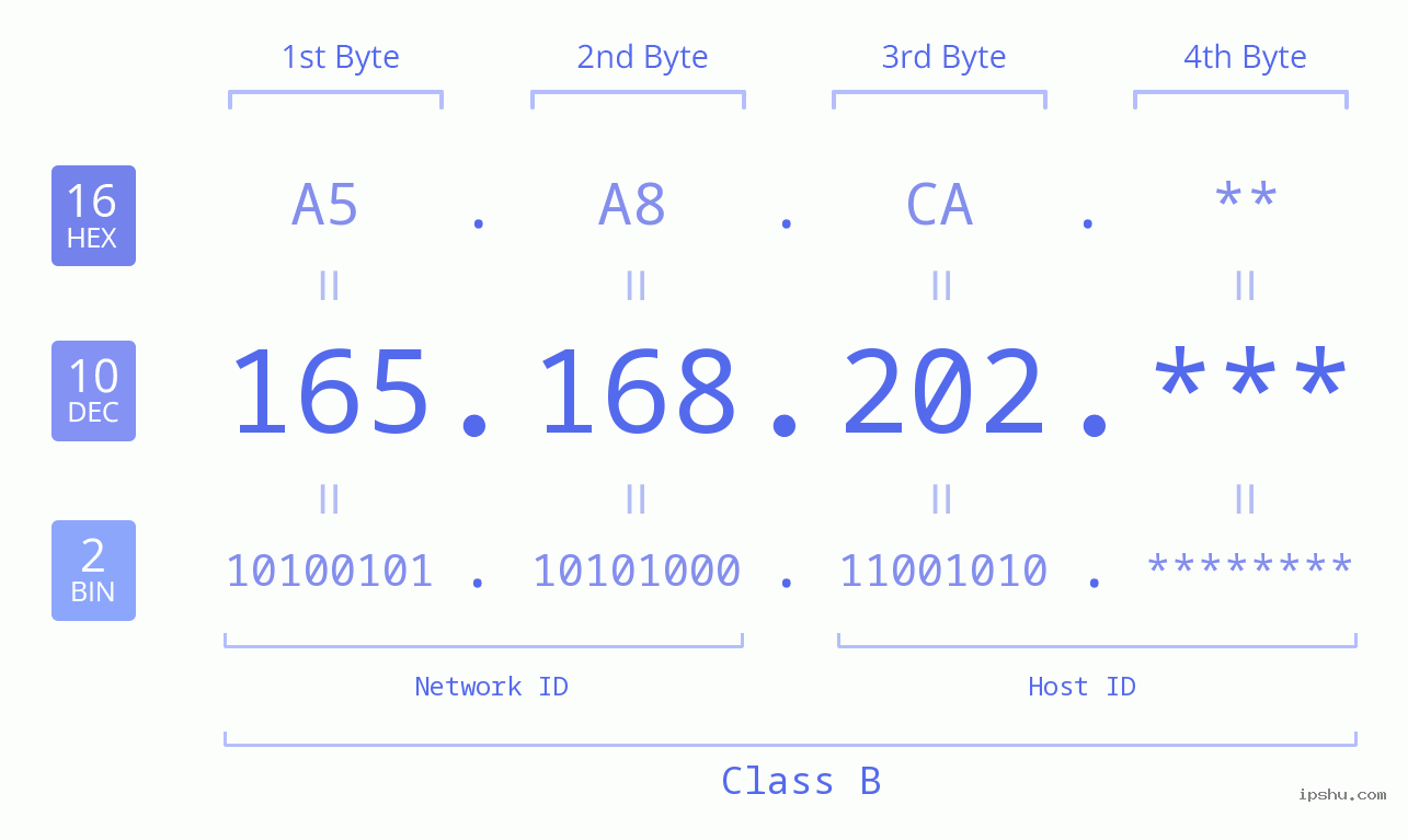 IP Address: 165.168.202 Data Structure Chart BIN DEC HEX IPv4: 165.168.202 Network Class, Net ID, Host ID
