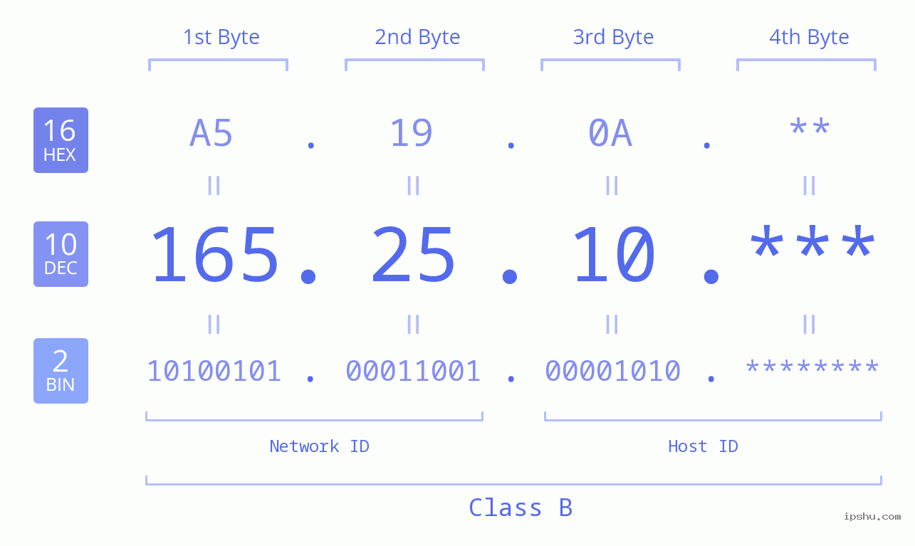 IP Address: 165.25.10 Data Structure Chart BIN DEC HEX IPv4: 165.25.10 Network Class, Net ID, Host ID