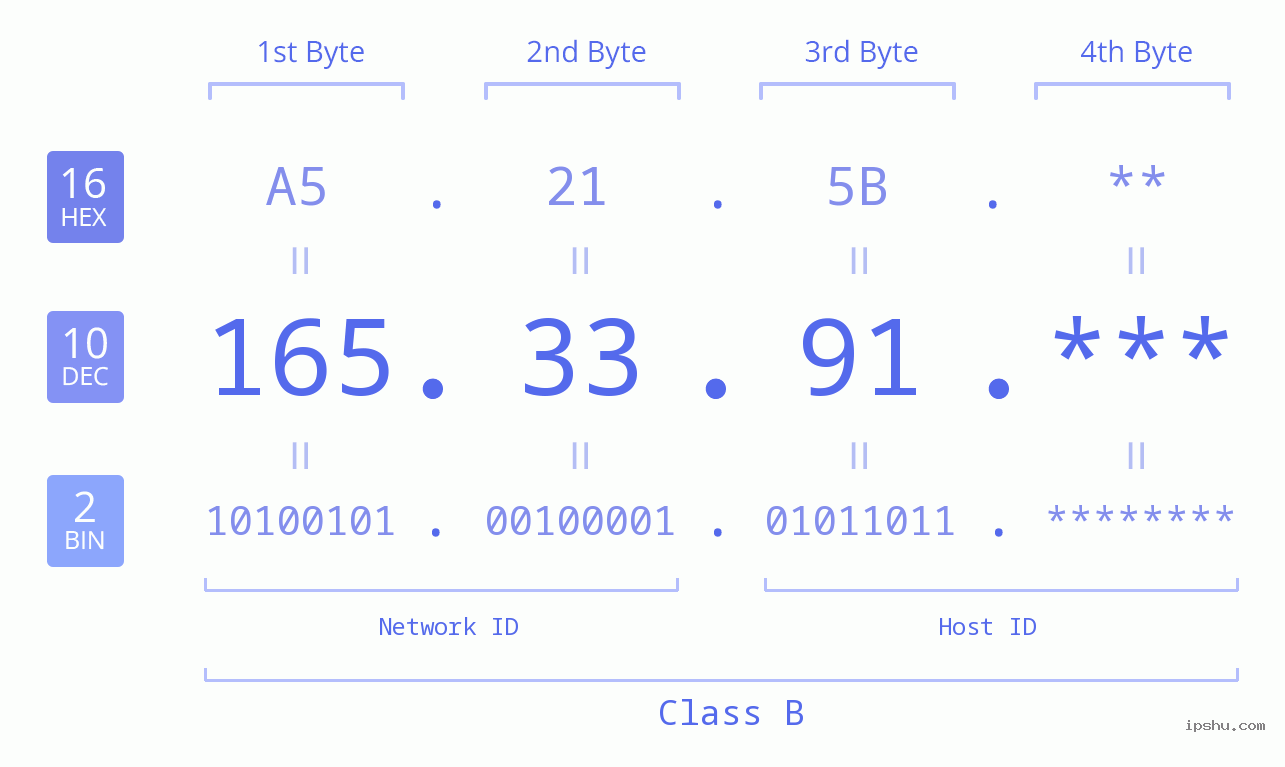 IP Address: 165.33.91 Data Structure Chart BIN DEC HEX IPv4: 165.33.91 Network Class, Net ID, Host ID