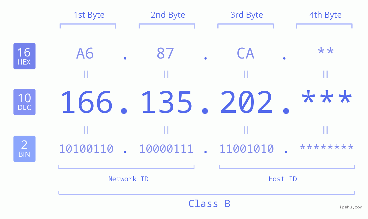 IP Address: 166.135.202 Data Structure Chart BIN DEC HEX IPv4: 166.135.202 Network Class, Net ID, Host ID