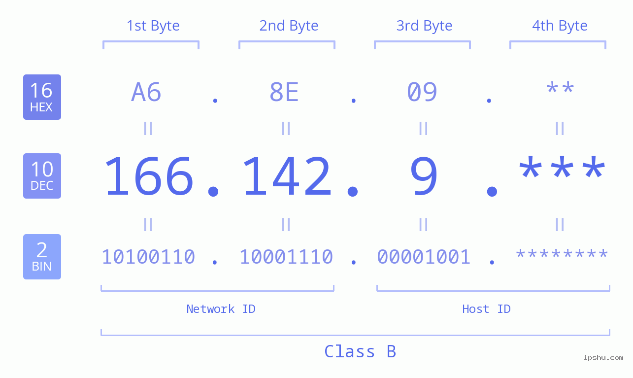 IP Address: 166.142.9 Data Structure Chart BIN DEC HEX IPv4: 166.142.9 Network Class, Net ID, Host ID