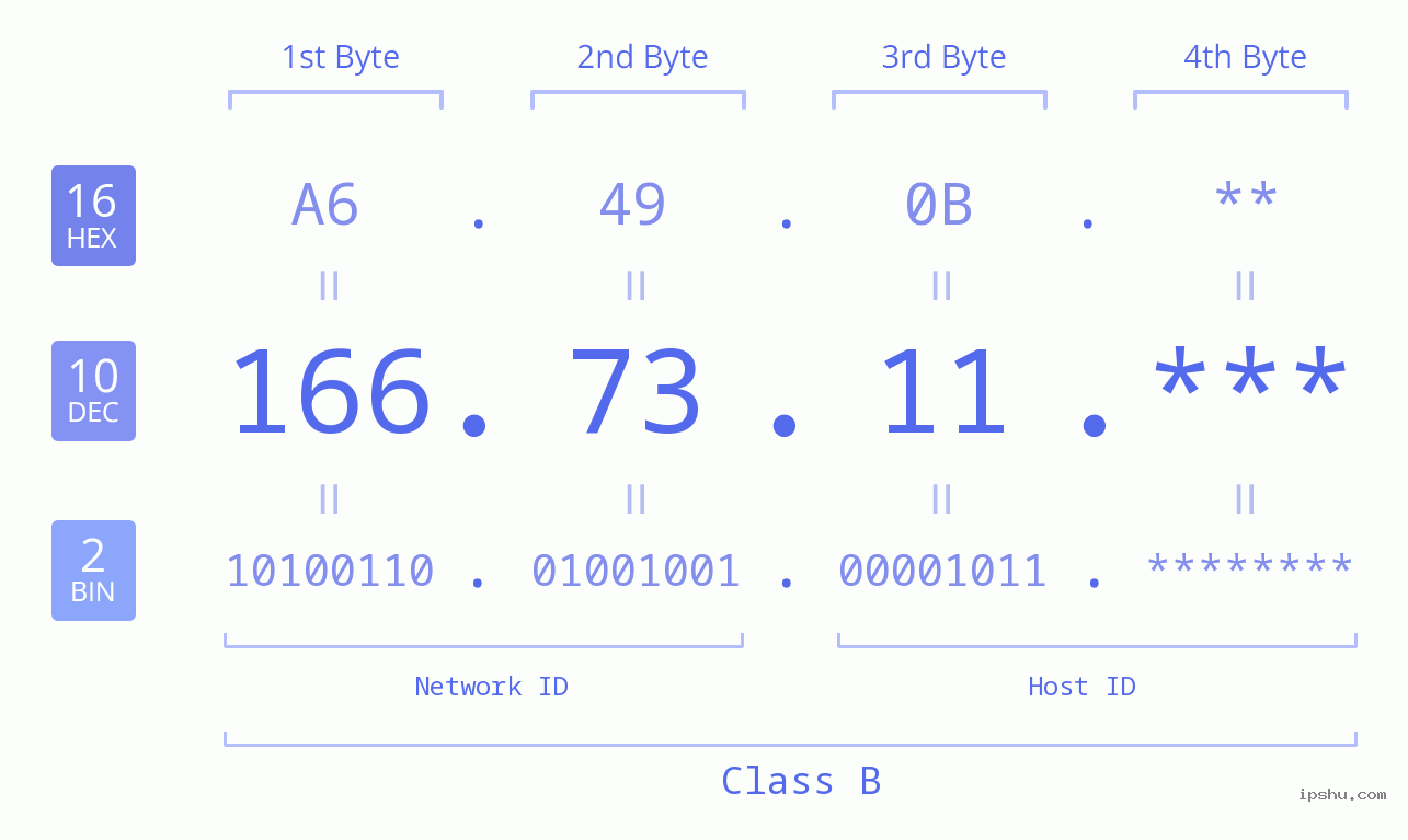 IP Address: 166.73.11 Data Structure Chart BIN DEC HEX IPv4: 166.73.11 Network Class, Net ID, Host ID