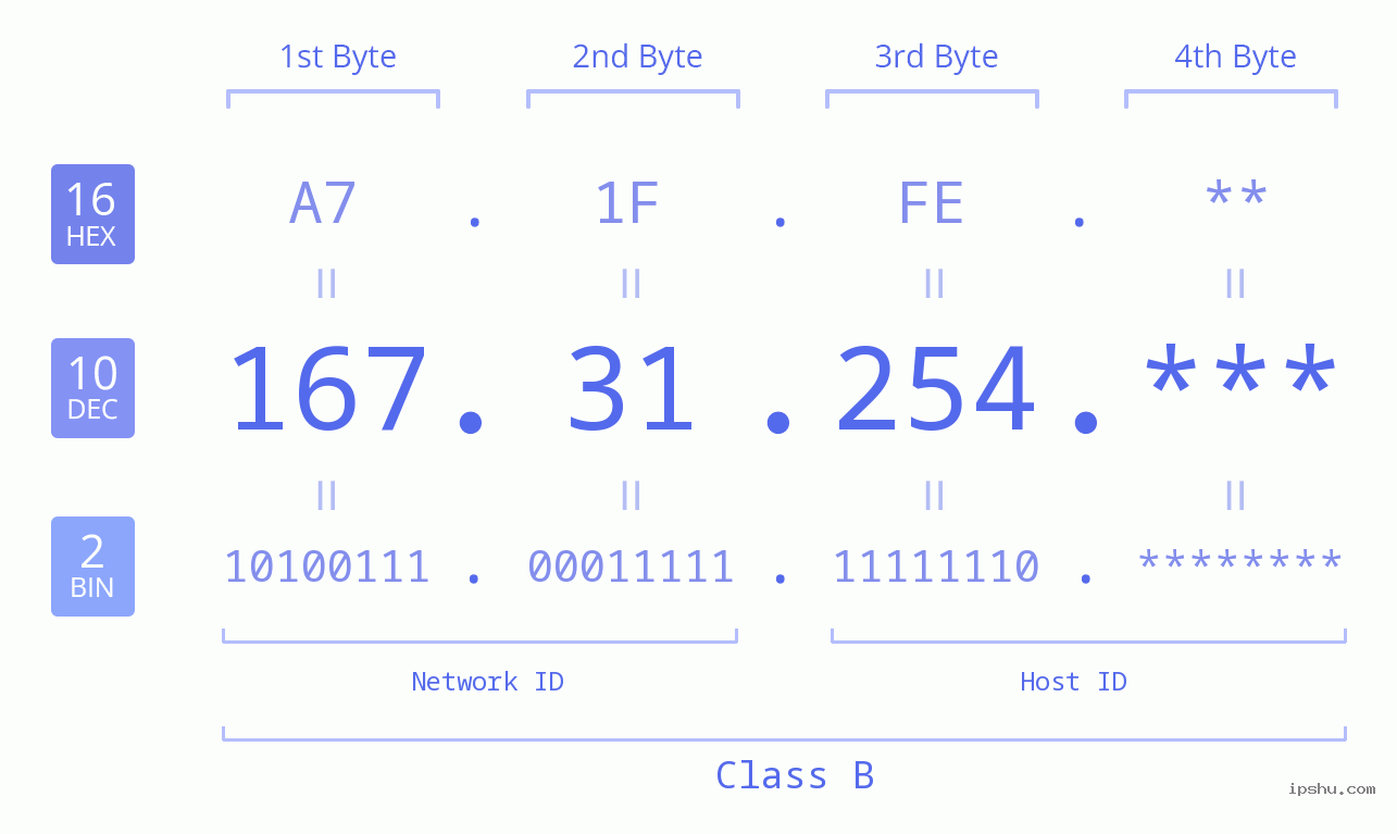 IP Address: 167.31.254 Data Structure Chart BIN DEC HEX IPv4: 167.31.254 Network Class, Net ID, Host ID