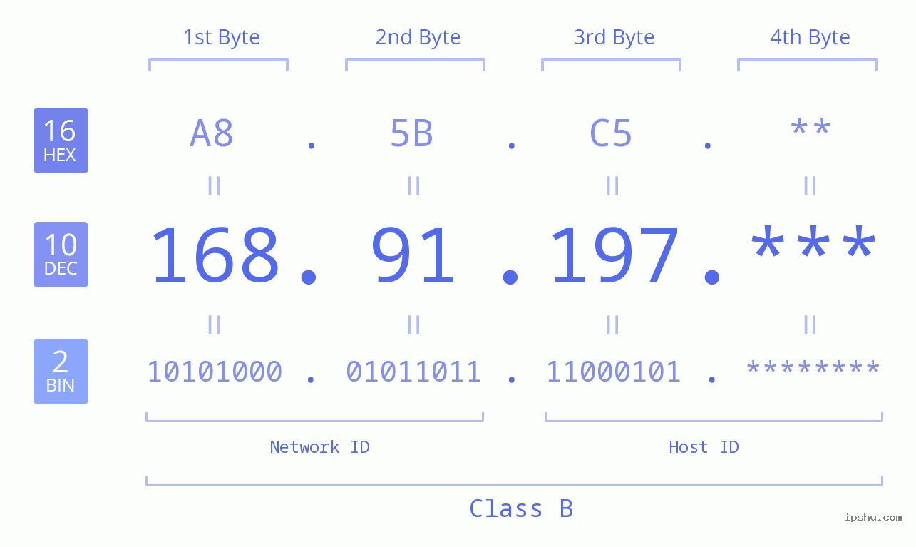 IP Address: 168.91.197 Data Structure Chart BIN DEC HEX IPv4: 168.91.197 Network Class, Net ID, Host ID