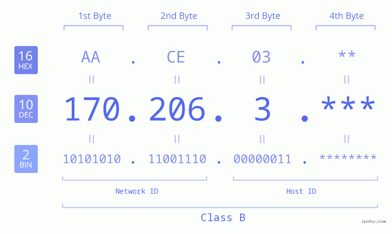 IP Address: 170.206.3 Data Structure Chart BIN DEC HEX IPv4: 170.206.3 Network Class, Net ID, Host ID