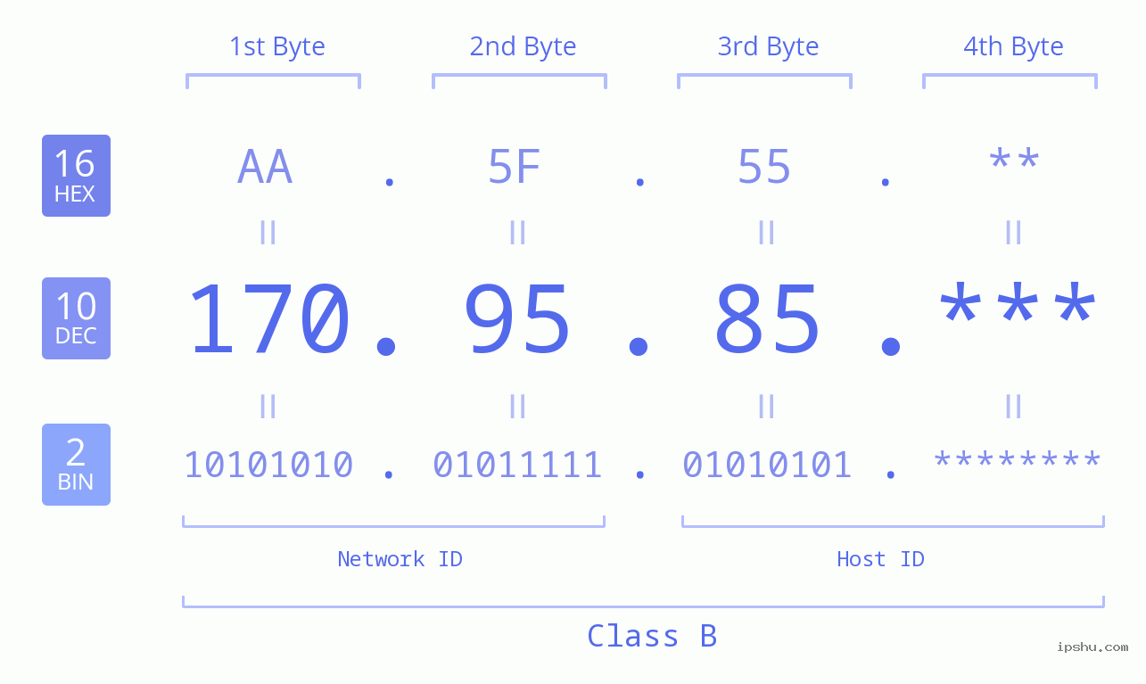 IP Address: 170.95.85 Data Structure Chart BIN DEC HEX IPv4: 170.95.85 Network Class, Net ID, Host ID