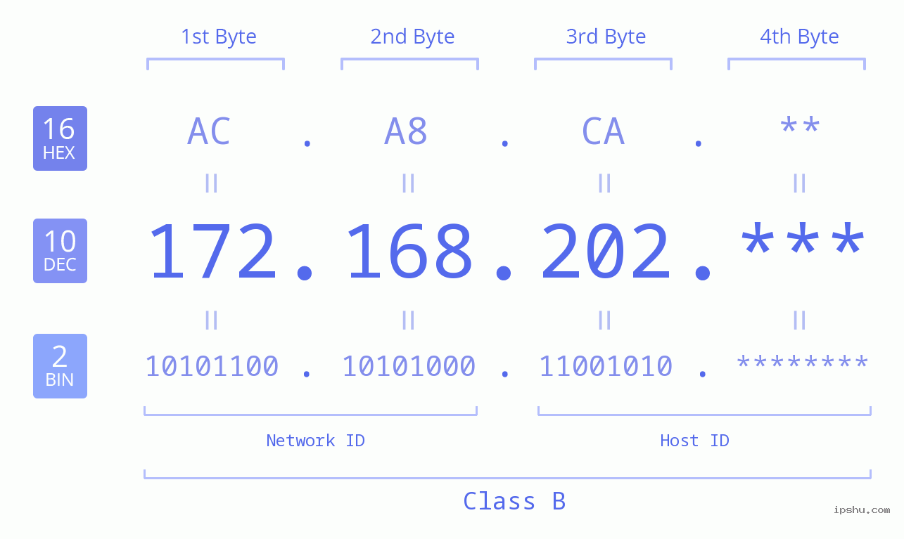 IP Address: 172.168.202 Data Structure Chart BIN DEC HEX IPv4: 172.168.202 Network Class, Net ID, Host ID