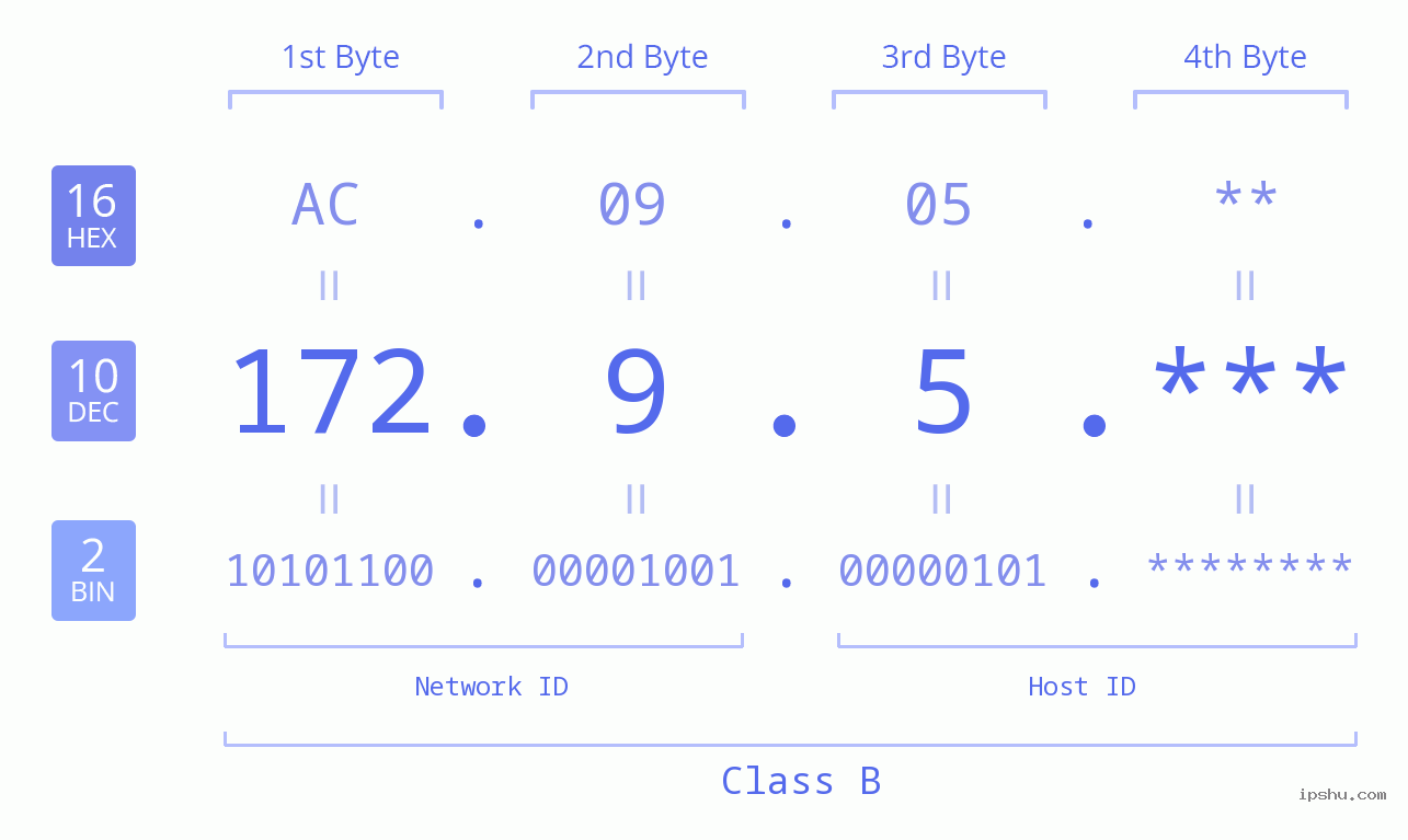 IP Address: 172.9.5 Data Structure Chart BIN DEC HEX IPv4: 172.9.5 Network Class, Net ID, Host ID