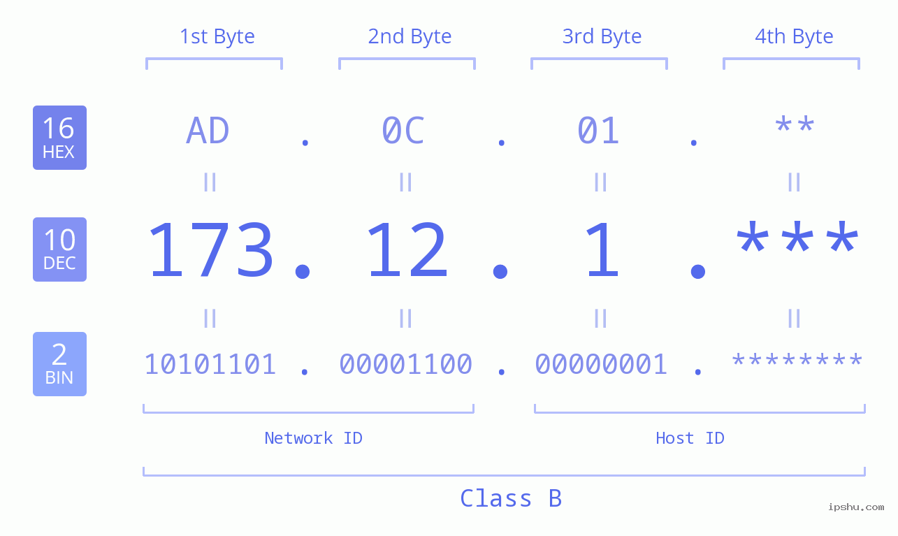 IP Address: 173.12.1 Data Structure Chart BIN DEC HEX IPv4: 173.12.1 Network Class, Net ID, Host ID