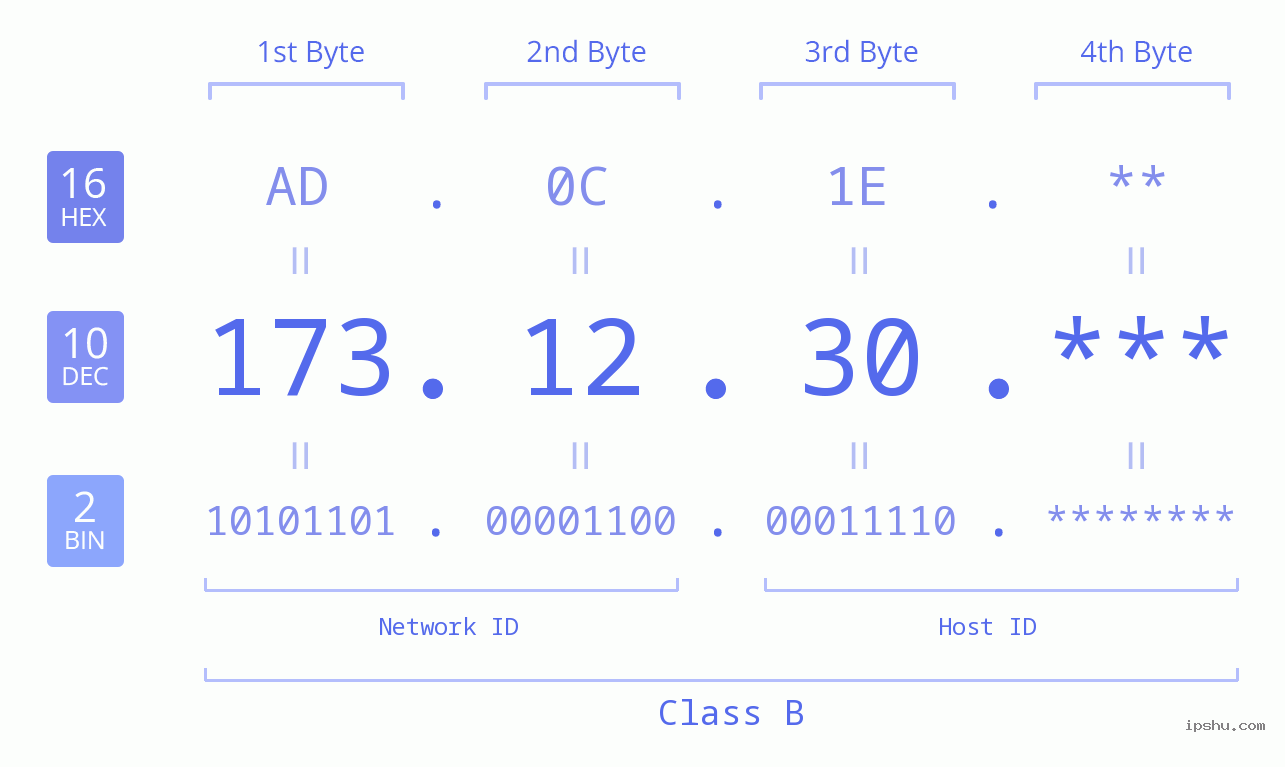 IP Address: 173.12.30 Data Structure Chart BIN DEC HEX IPv4: 173.12.30 Network Class, Net ID, Host ID