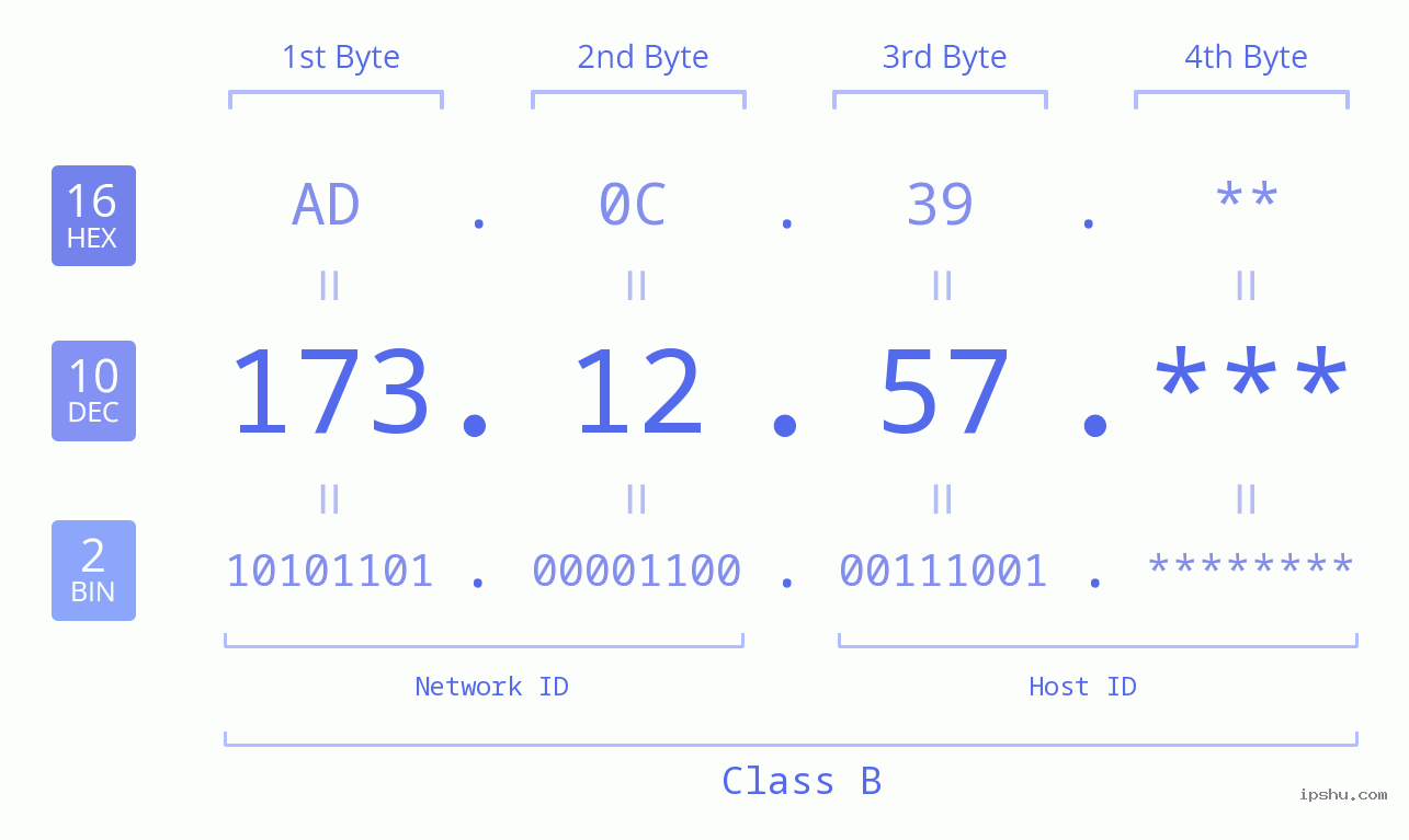 IP Address: 173.12.57 Data Structure Chart BIN DEC HEX IPv4: 173.12.57 Network Class, Net ID, Host ID